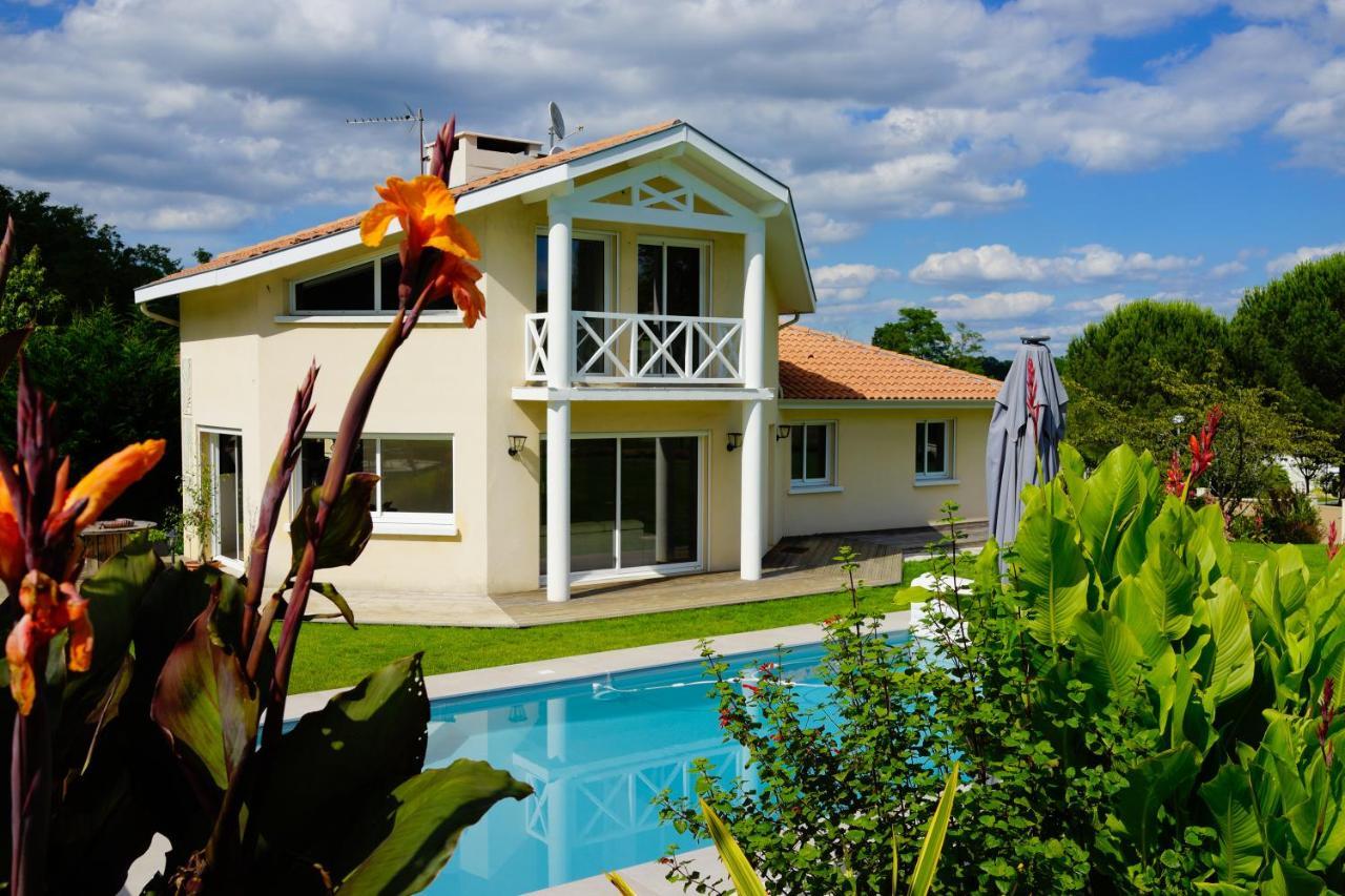 Villa Alba. Piscine grand jardin Hauts de Bordeaux Carignan-de-Bordeaux Exterior foto